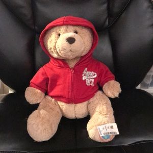Aeropostale stuffed bear with sweatshirt